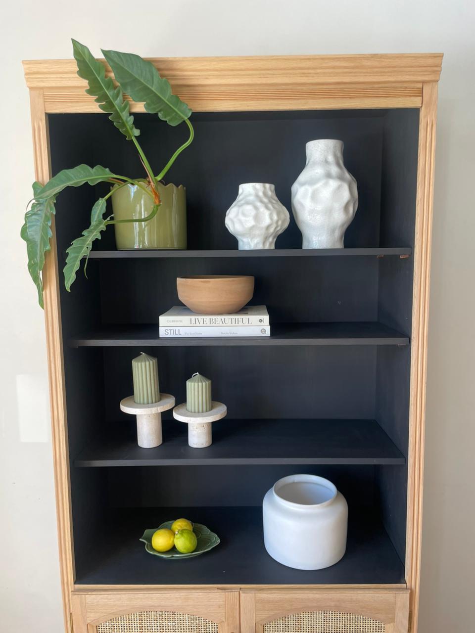 The James Book Shelf/Cupboard