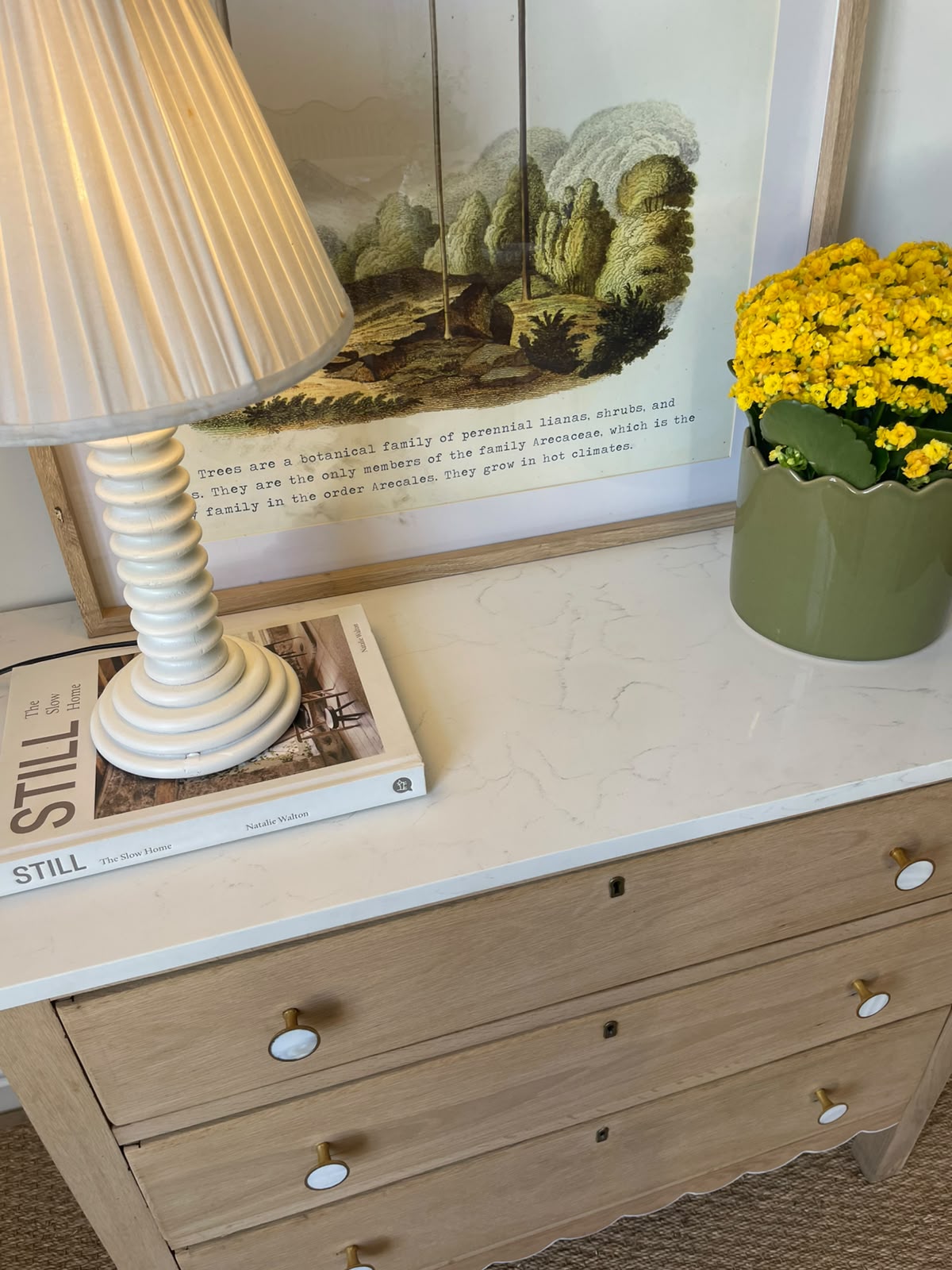 The Clementine Scalloped Chest